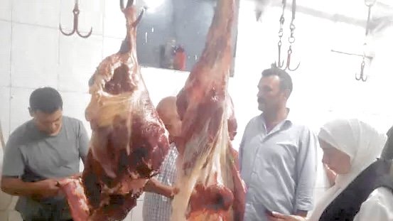 ضبط نصف طن لحوم ودواجن فاسدة في المنوفية