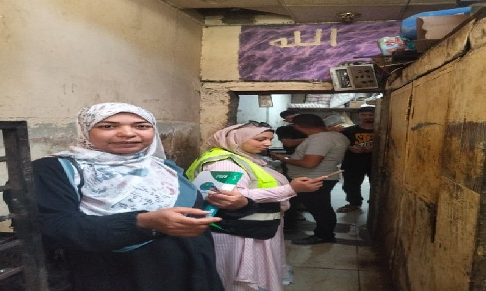 مديرية عمل الأقصر تكثف حملاتها التفتيشية لحماية 911 عاملاً في 67 منشأة
