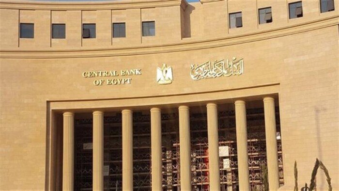 مصر تقود إعداد ونشر أول تقرير للاستقرار المالي على مستوى إفريقيا