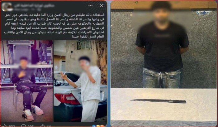 مزق جسدها بسلاح أبيض.. القبض على المتهم بالتعدي على فتاة ونجل عمها بالقاهرة