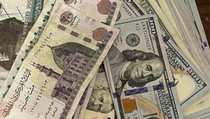 بنوك تطرح شهادات ادخار بعائد مرتفع قبل اجتماع المركزي المصري غدا الخميس
