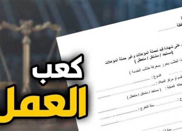 «لو مقدم على وظيفة».. خطوات استخراج كعب عمل والأوراق المطلوبة