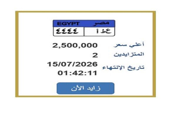 سعرها وصل 2.5 مليون جنيه.. التزايد يشتعل على لوحة سيارة مميزة «اعرف الخطوات»