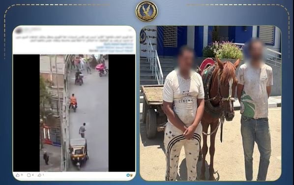 بعد تداول فيديو.. الداخلية تضبط قائد «الكارو» ورفيقه لاعتدائهما على عامل نظافة