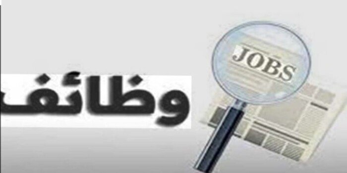وظائف وزارة التضامن 2026.. فرص لخريجي الخدمة الاجتماعية والتربية والآداب «الشروط المطلوبة»