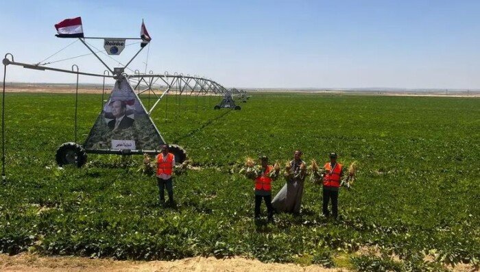 مشروع قانون إعادة تنظيم جهاز مستقبل مصر.. خطوة تستهدف تحقيق الأمن الغذائي ودعم التنمية