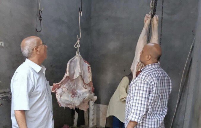 ضبط سلخانة غير مرخصة والتحفظ علي 200 كجم لحوم فاسدة بمنوف