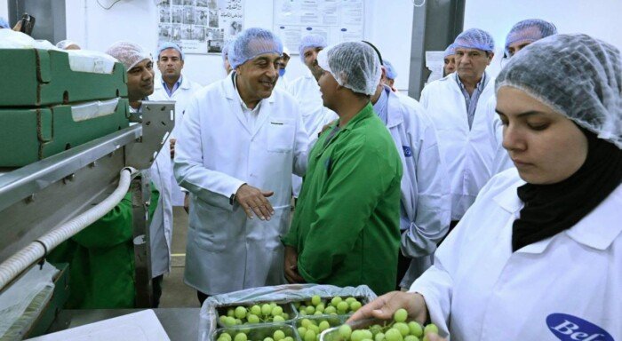 رئيس الوزراء يتفقد محطات فرز وتعبئة شركة «بلكو» للإنتاج الزراعي بمدينة السادات