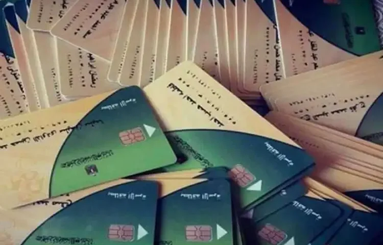 «التموين»: مراجعة وتنقية بيانات البطاقات التموينية.. وإعادة الموقوفة مؤقتًا فور إزالة السبب
