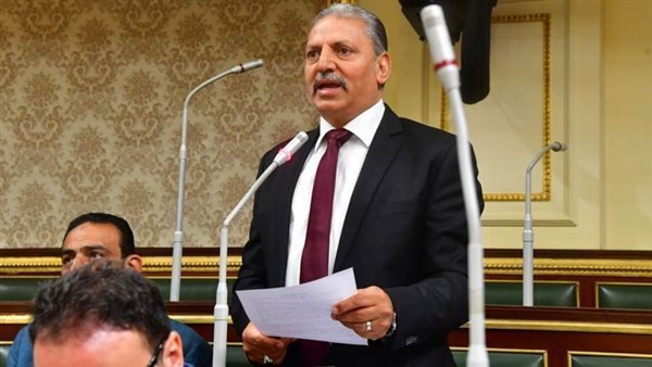 وكيل «دفاع النواب»: القوات المسلحة المصرية درع الوطن وحراس الأمن خارجيا وداخليا