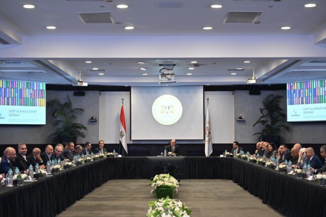وزير الاستثمار يلتقي مجموعة موانئ دبي لبحث الشراكة في زيادة نفاذ الصادرات المصرية لإفريقيا