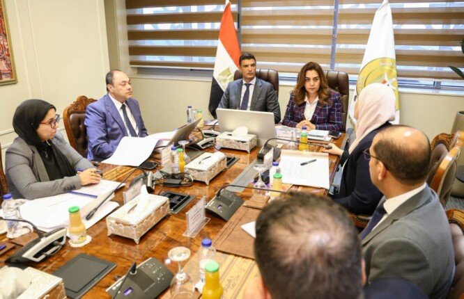 وزيرا «التنمية المحلية» و«الصناعة» يبحثان آليات دعم مشروعات هيئة تنمية الصعيد