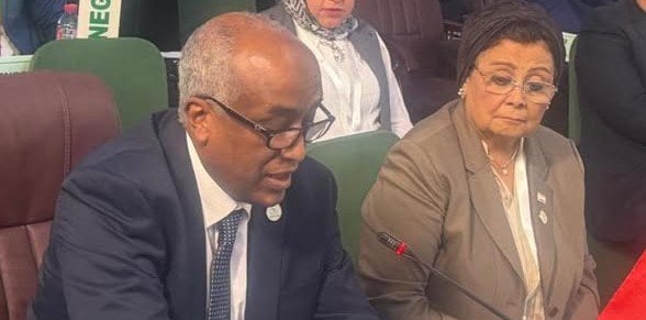 نائب وزير الخارجية يستعرض جهود مصر في مواجهة الأمراض وصناعة اللقاحات بإفريقيا