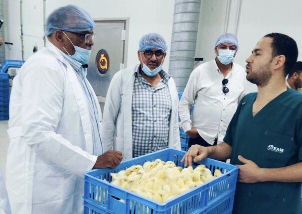 مدير زراعة المنوفية يتفقد مشروعات الإنتاج الحيواني والداجني والأعلاف بمدينة السادات