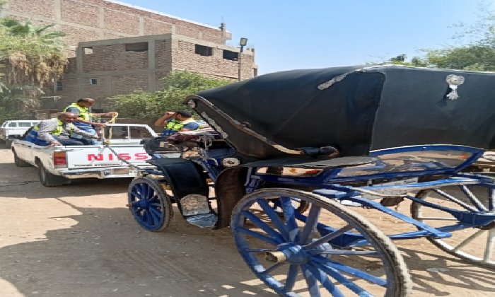 التحفظ على عربات الحنطور المخالفة بشارع كورنيش النيل في الأقصر