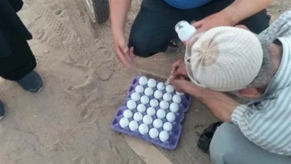 حملة لمكافحة الثعابين في المنوفية