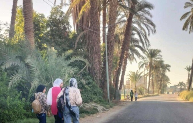 أهالي الهجان بقنا يستغيثون لإنهاء أزمة المواصلات وإنارة الطريق الرئيسي