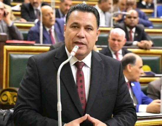 عماد الغنيمي بعد الموافقة على قانون جهاز مستقبل مصر: توافق غير مسبوق داخل البرلمان