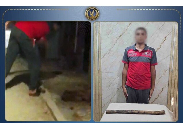 ضبط المتهم بالتعدي على كلب بالغربية