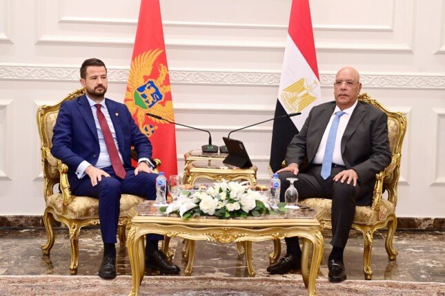 تعزيز التعاون البرلماني والسياسي محور لقاء هشام بدوي مع ياكوف ميلاتوفيتش