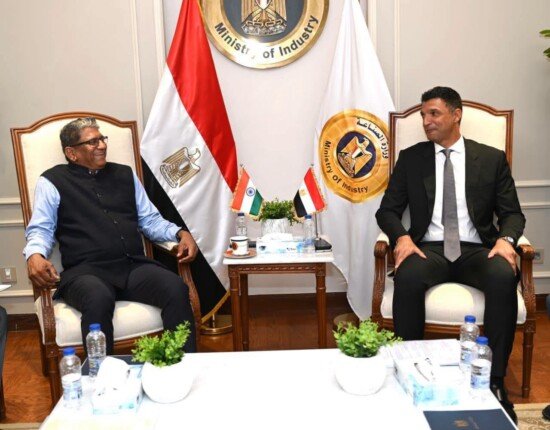 مصر والهند تبحثان تعزيز التعاون في الطاقة المتجددة والصناعات الغذائية