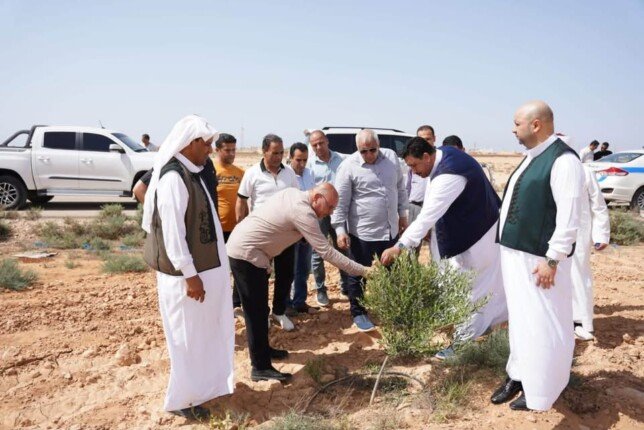 محافظ مطروح: دراسة إنشاء مزرعة زيتون كبرى بالنجيلة كوقف خيري لخدمة الأسر الأكثر احتياجًا