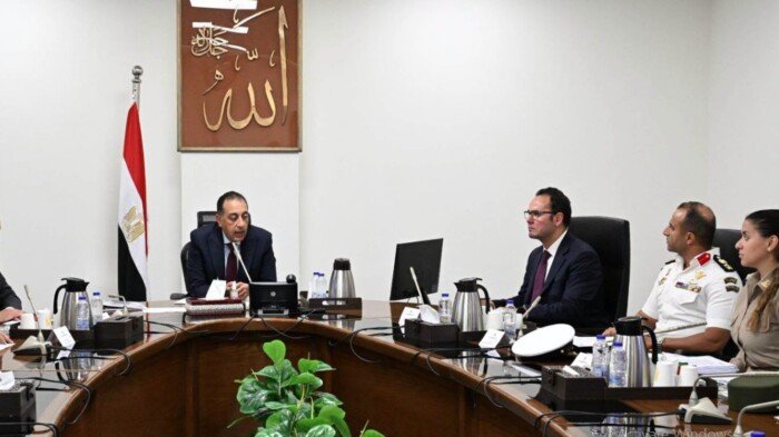 الحكومة تعلن خطة جديدة للتعامل مع الكلاب الضالة وإنشاء مراكز إيواء في المدن الجديدة