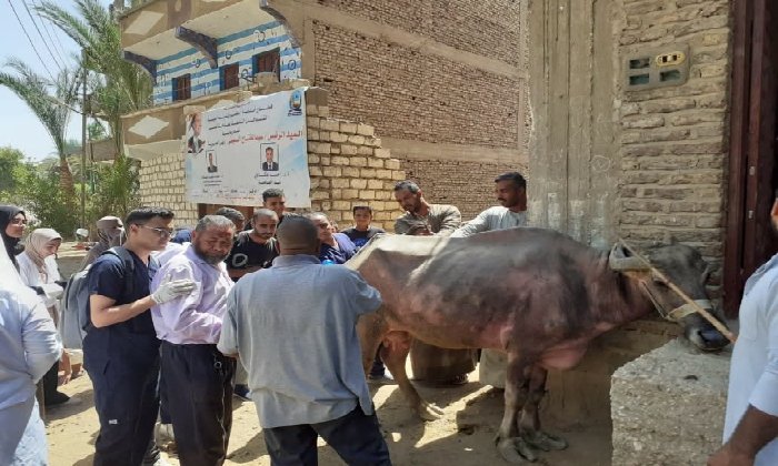 جامعة قنا تنظم قافلة بيطرية وزراعية متكاملة وتصرف الأدوية مجانًا للمربين
