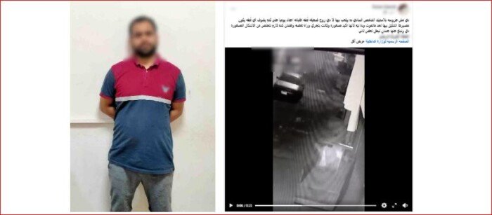 تسبب في نفوقها.. الداخلية تضبط المتهم بالتعدي على قطة في الغربية