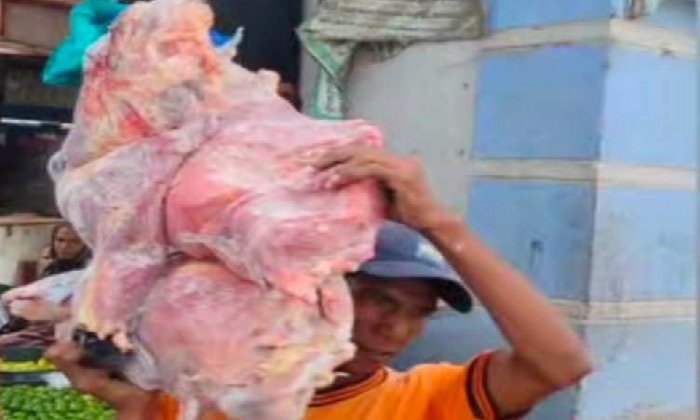 ضبط دواجن ولحوم فاسدة قبل طرحها للبيع بسوق العصر في حى العرب ببورسعيد