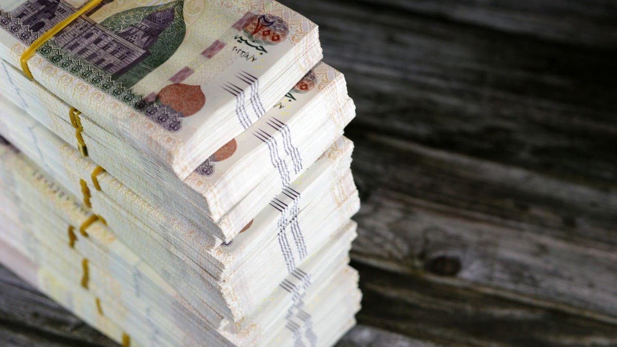 بنوك مصرية تطرح شهادات ادخار بعوائد مرتفعة لكبار العملاء