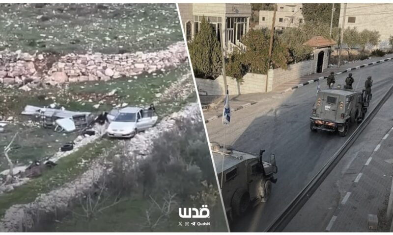في مواجهة التوسع الاستيطاني.. عين يبرود تثبّت حضورها في أراضيها المهددة