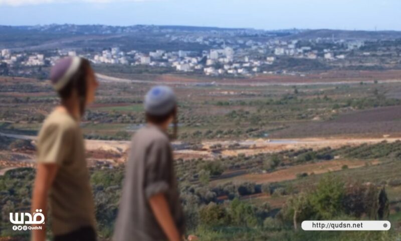خاصl بدّو تحت ضغط الاستيطان.. اعتداءات على الأرض وقيود على البناء تهدد مستقبل البلدة