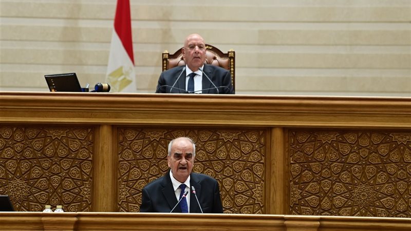 “ربنا يستر”، نائب يكتشف اختفاء أوراق بمقترحاته لتعديل قانون جهاز مستقبل مصر