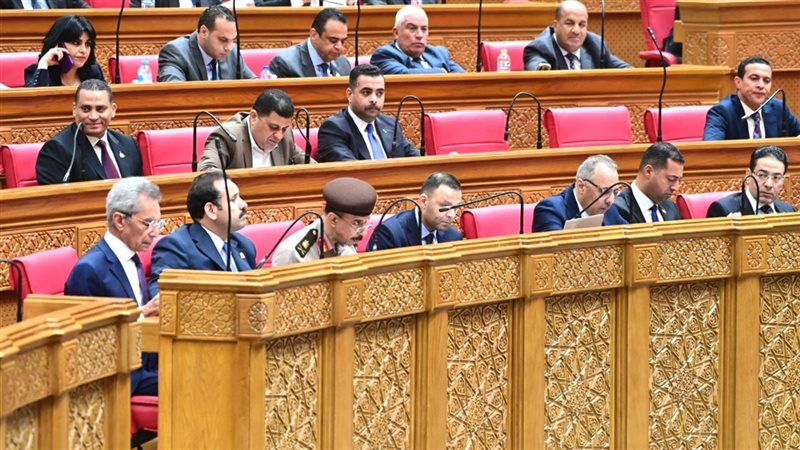 عدم الالتزام بالحد الأقصى للأجور، النواب يقر مواد الإصدار بمشروع قانون مستقبل مصر
