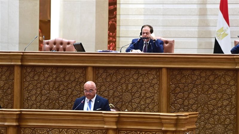 رئيس برلمانية من أجل المتوسط: القضية الفلسطينية الاختبار الحقيقي لمصداقية النظام الدولي