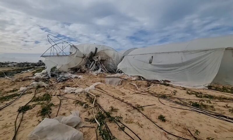 دمار غير مسبوق.. حرب الإبادة تحول زراعة غزة إلى أنقاض وخسائر بـ3.5 مليار دولار