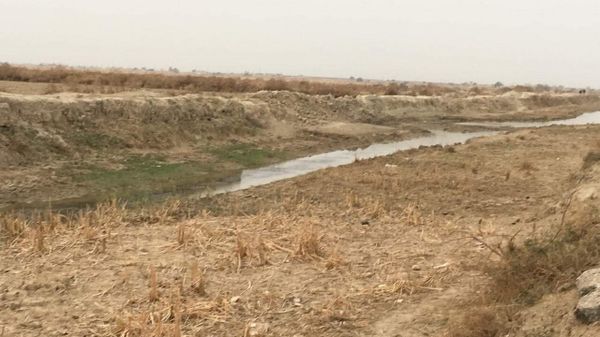كهف غامض وأسماك عمياء… ما أهمية اكتشاف نهر تحت الأرض في صحراء العراق؟