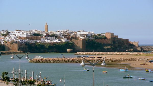 نائب رئيس جمعية مغاربة العالم: بصدد إنشاء رابطة تجمع مستثمري روسيا والمغرب لتعزيز التواصل التجاري
