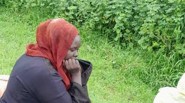 ما أهداف بنك السودان المركزي من إطلاق النظام الإلكتروني لمراقبة الاستثمارات الأجنبية؟