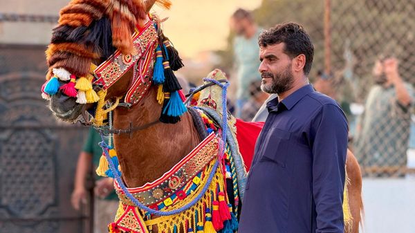 من صهوة الجواد إلى منصة التتويج… منطقة البطنان في ليبيا تختار أجمل حصان بربري
