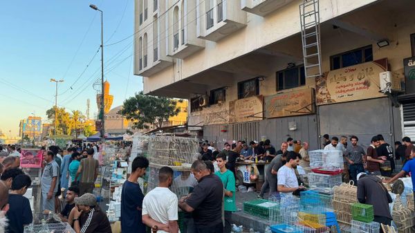 سوق الغزل في بغداد يستقطب العراقيين من مختلف المحافظات لاقتناء الحيوانات