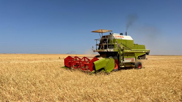 المبيدات الزراعية في ليبيا… مخاطر بيئية وصحية ومساع لتعزيز الرقابة
