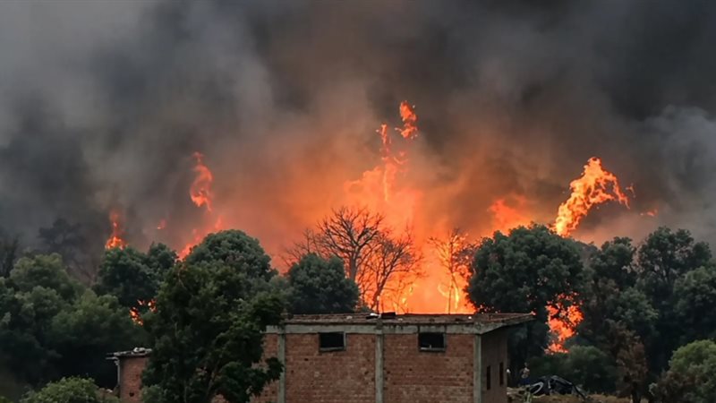 حرائق الغابات في الجزائر، السلطات تواصل جهودها لإخماد النيران في 10 ولايات وجيجل الأكثر تضررًا (صور)