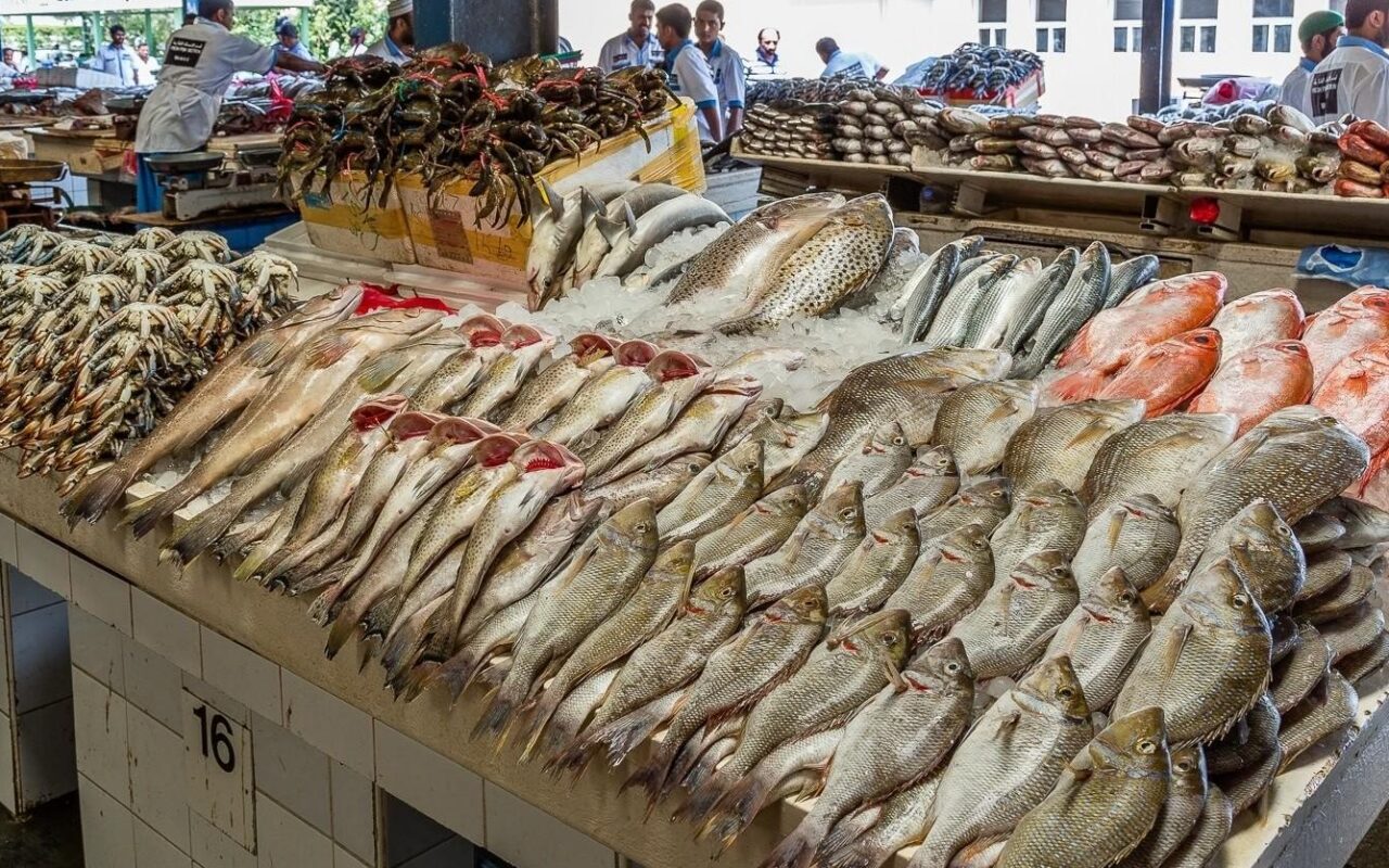 قبل ما تشتري.. الجمبري يقفز 50 جنيهًا والبلطي يبدأ من 69 جنيهًا