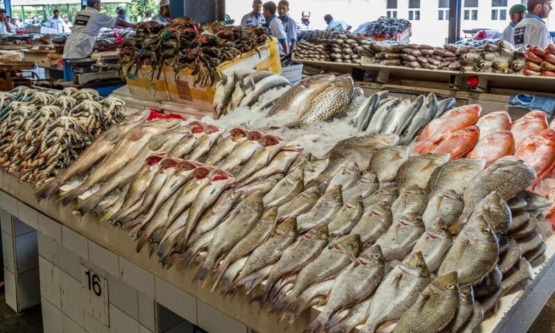 قبل ما تشتري.. الجمبري يقفز 50 جنيهًا والبلطي يبدأ من 69 جنيهًا