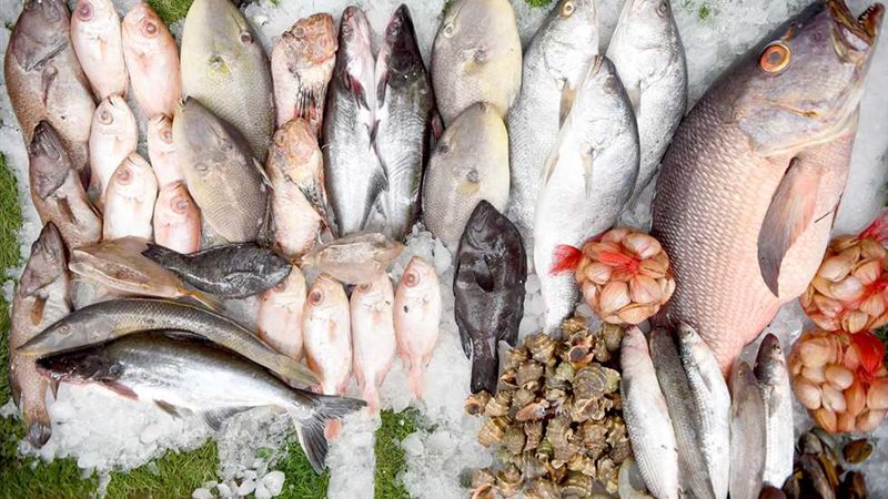 أسعار الأسماك اليوم، انخفاض البلطي وارتفاع قشر البياض والكابوريا 20 جنيها