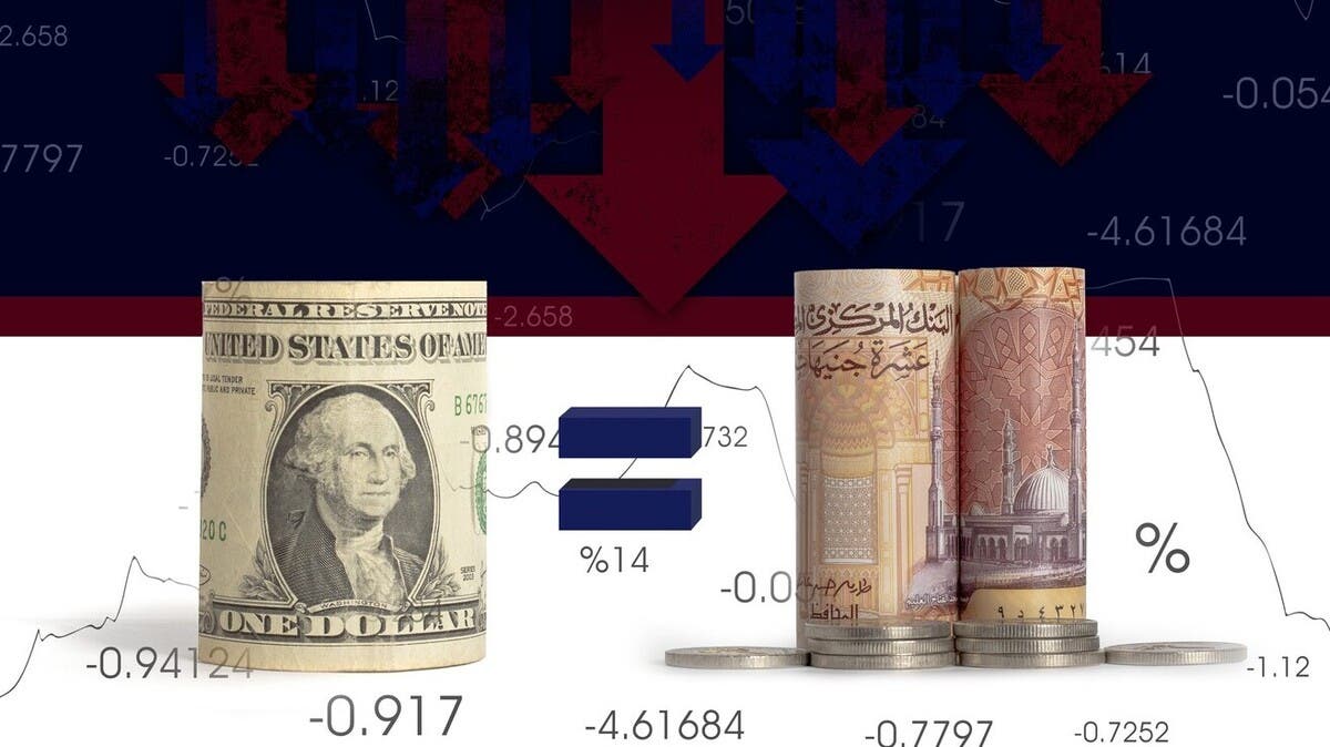 “مورغان ستانلي” يضع 3 سيناريوهات لسعر الدولار في مصر