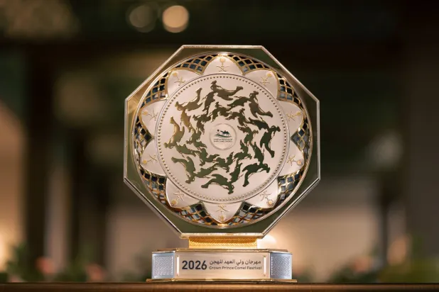 «مهرجان ولي العهد للهجن»: استحداث كأس مخصصة للسعوديين بجائزة تبلغ نصف مليون ريال