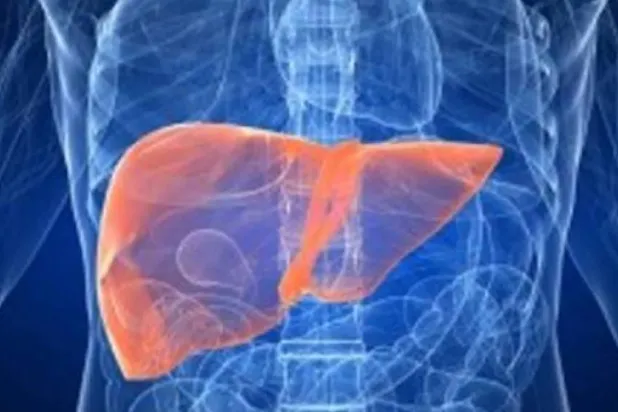 عادات صباحية تدعم صحة الكبد
